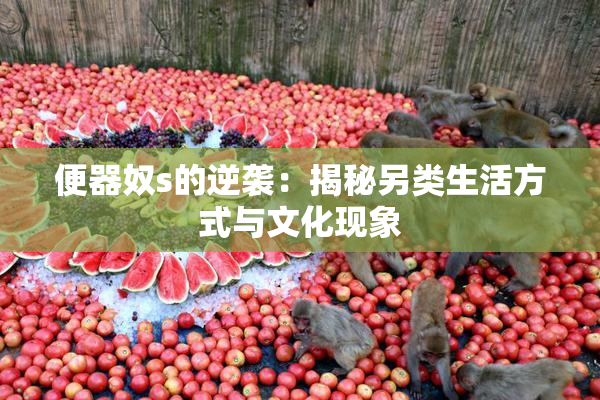 便器奴s的逆袭：揭秘另类生活方式与文化现象
