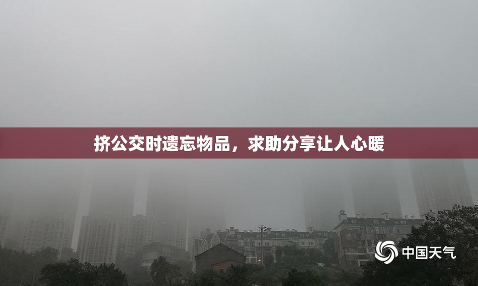 挤公交时遗忘物品，求助分享让人心暖