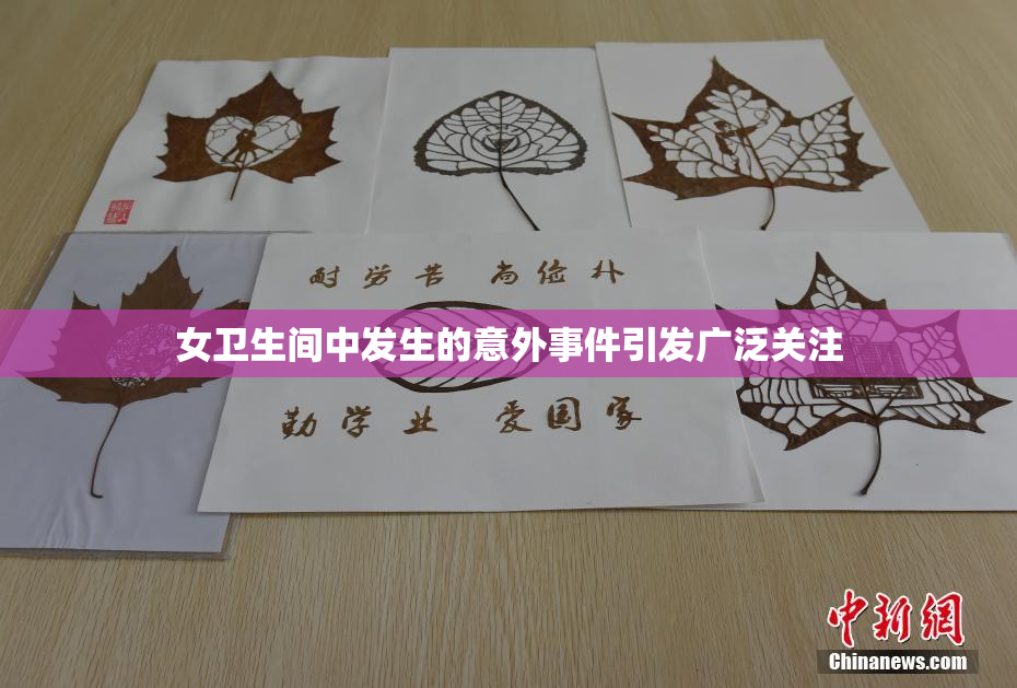 女卫生间中发生的意外事件引发广泛关注