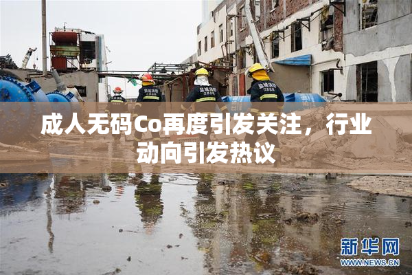成人无码Co再度引发关注，行业动向引发热议