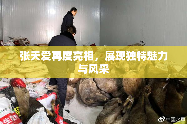 张天爱再度亮相，展现独特魅力与风采