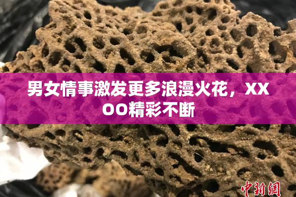 男女情事激发更多浪漫火花，XXOO精彩不断