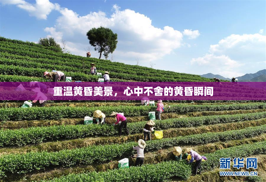 重温黄昏美景，心中不舍的黄昏瞬间