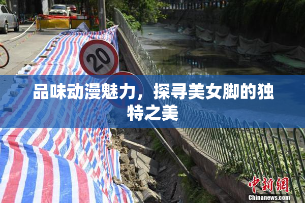 品味动漫魅力，探寻美女脚的独特之美