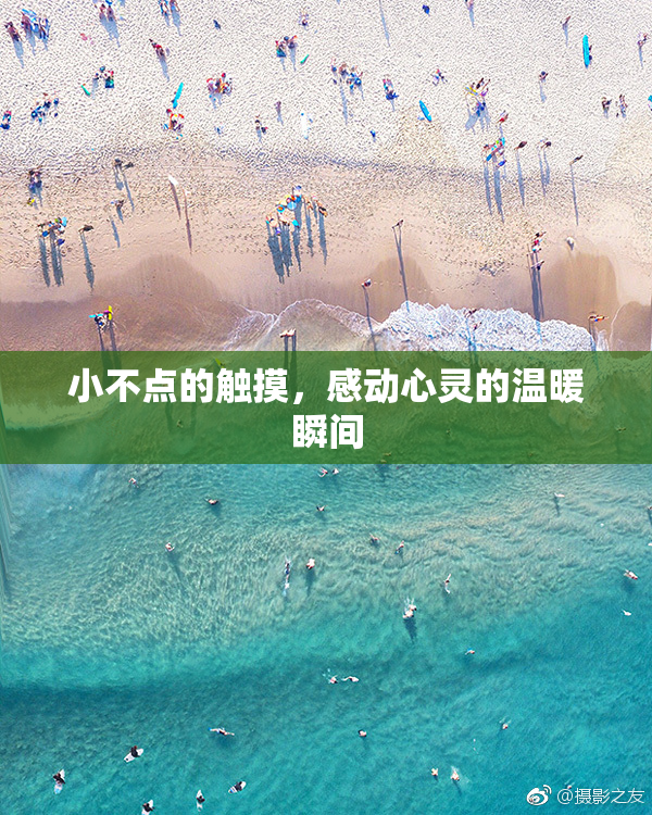 小不点的触摸，感动心灵的温暖瞬间