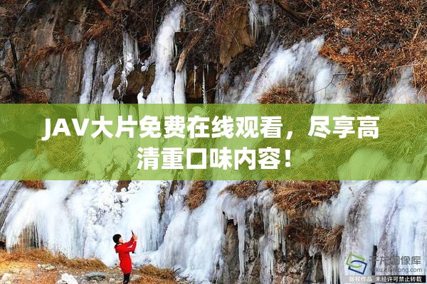 JAV大片免费在线观看，尽享高清重口味内容！