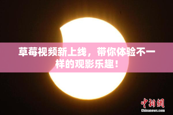 草莓视频新上线，带你体验不一样的观影乐趣！