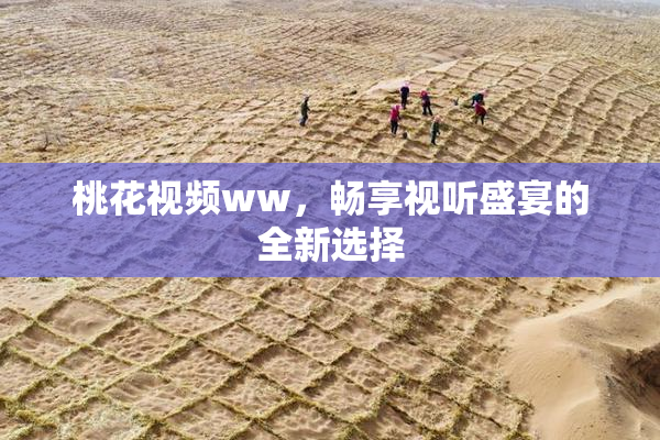 桃花视频ww，畅享视听盛宴的全新选择