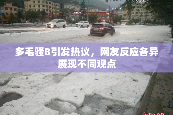 多毛骚B引发热议，网友反应各异展现不同观点