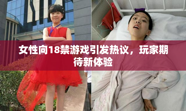 女性向18禁游戏引发热议，玩家期待新体验
