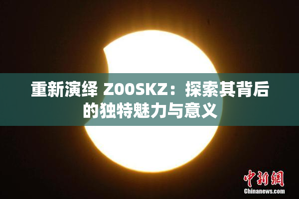 重新演绎 Z00SKZ：探索其背后的独特魅力与意义