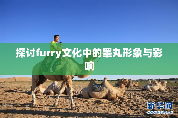 探讨furry文化中的睾丸形象与影响
