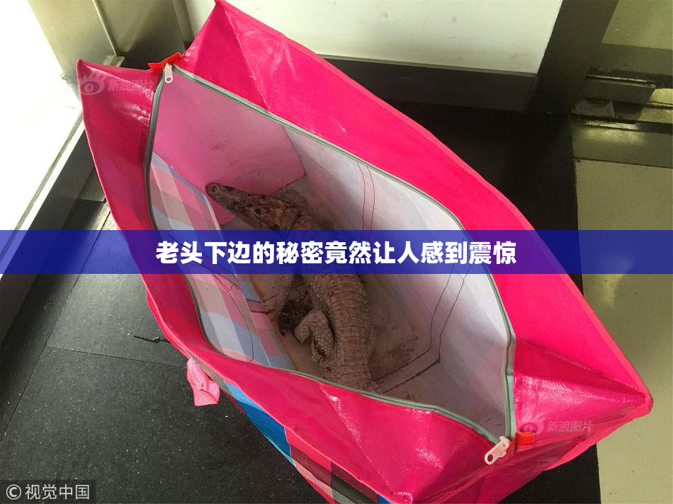 老头下边的秘密竟然让人感到震惊