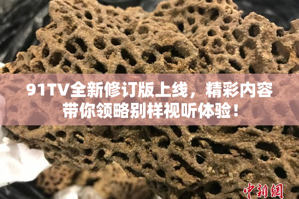 91TV全新修订版上线，精彩内容带你领略别样视听体验！