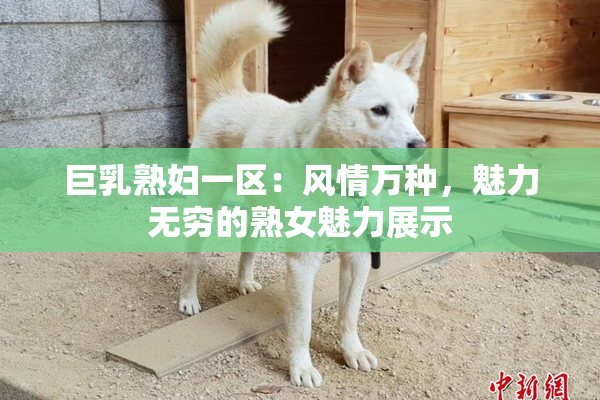巨乳熟妇一区：风情万种，魅力无穷的熟女魅力展示