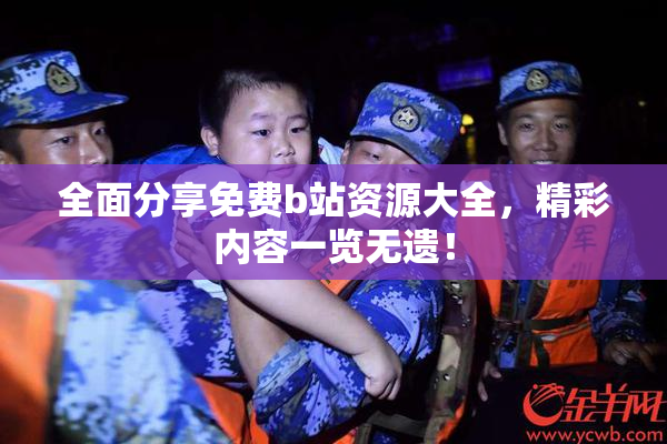 全面分享免费b站资源大全，精彩内容一览无遗！