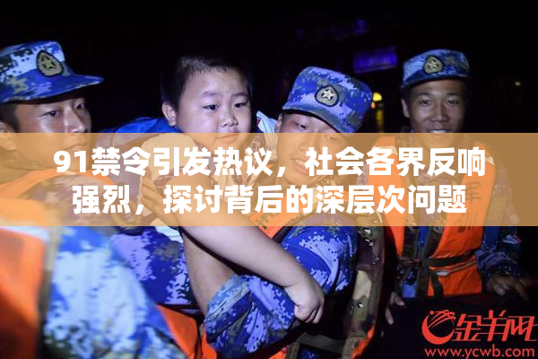 91禁令引发热议，社会各界反响强烈，探讨背后的深层次问题