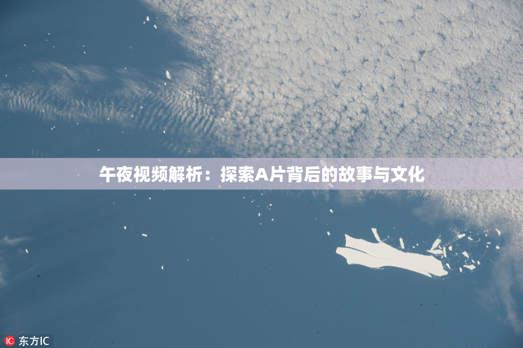 午夜视频解析：探索A片背后的故事与文化