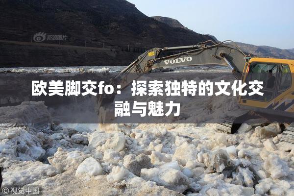 欧美脚交fo：探索独特的文化交融与魅力