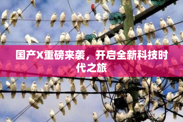 国产X重磅来袭，开启全新科技时代之旅