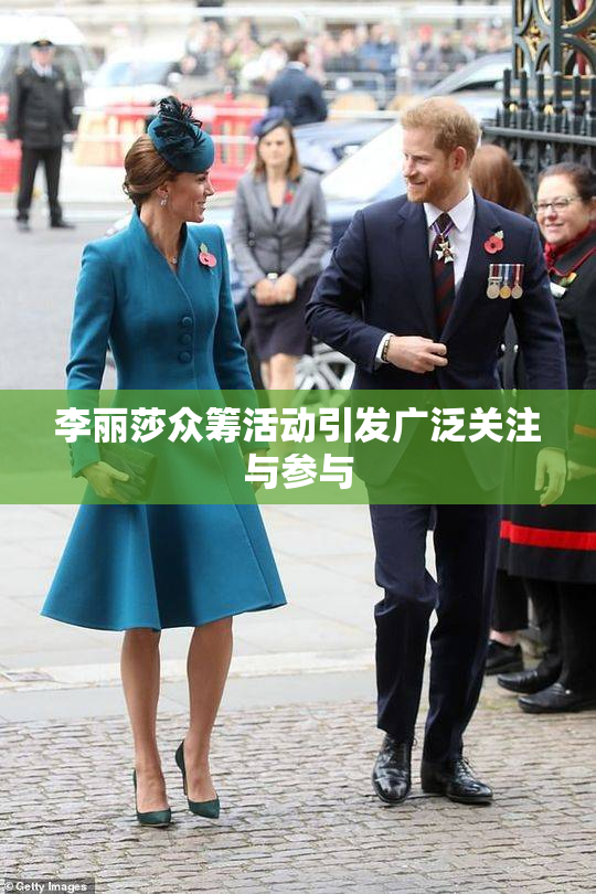 李丽莎众筹活动引发广泛关注与参与