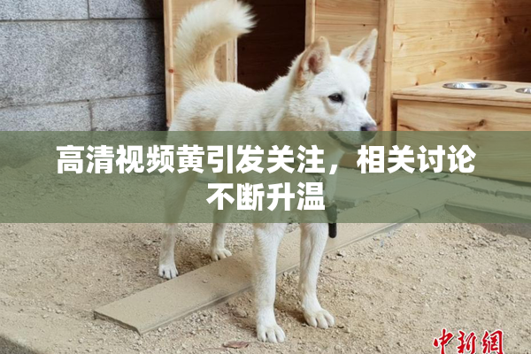 高清视频黄引发关注，相关讨论不断升温