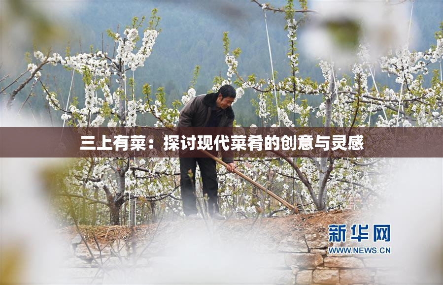 三上有菜：探讨现代菜肴的创意与灵感
