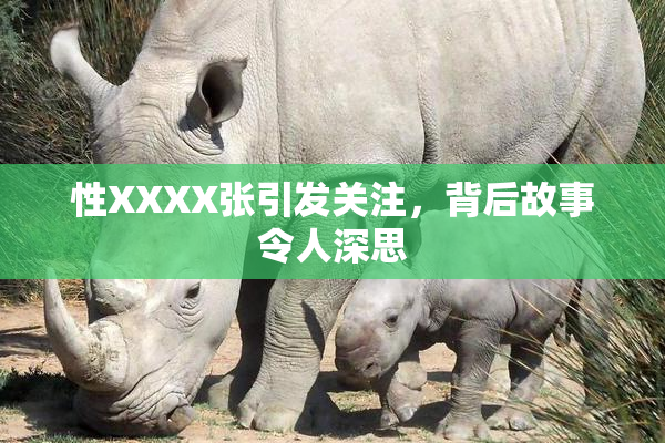 性XXXX张引发关注，背后故事令人深思