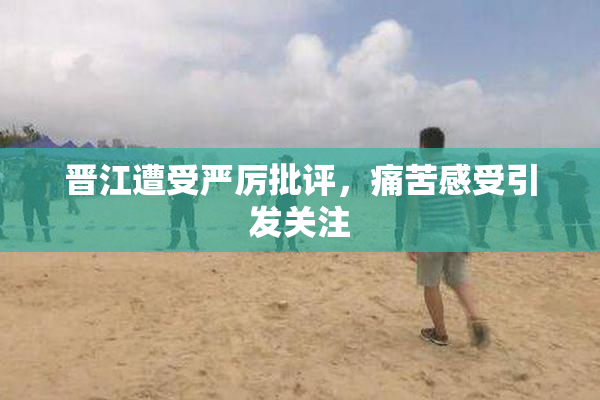 晋江遭受严厉批评，痛苦感受引发关注