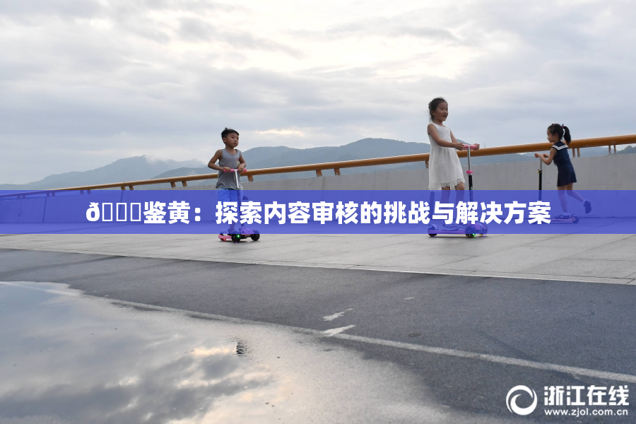 🔞鉴黄：探索内容审核的挑战与解决方案