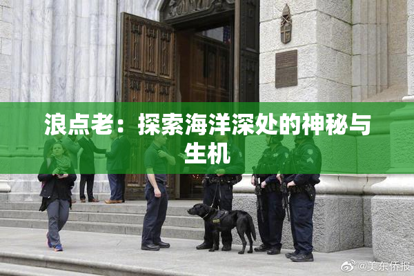浪点老：探索海洋深处的神秘与生机