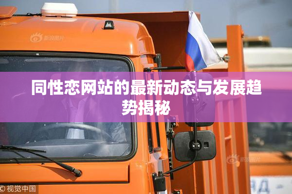 同性恋网站的最新动态与发展趋势揭秘