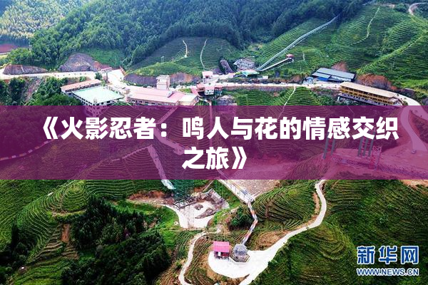 《火影忍者：鸣人与花的情感交织之旅》