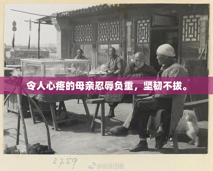 令人心疼的母亲忍辱负重，坚韧不拔。