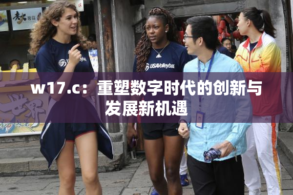 w17.c：重塑数字时代的创新与发展新机遇