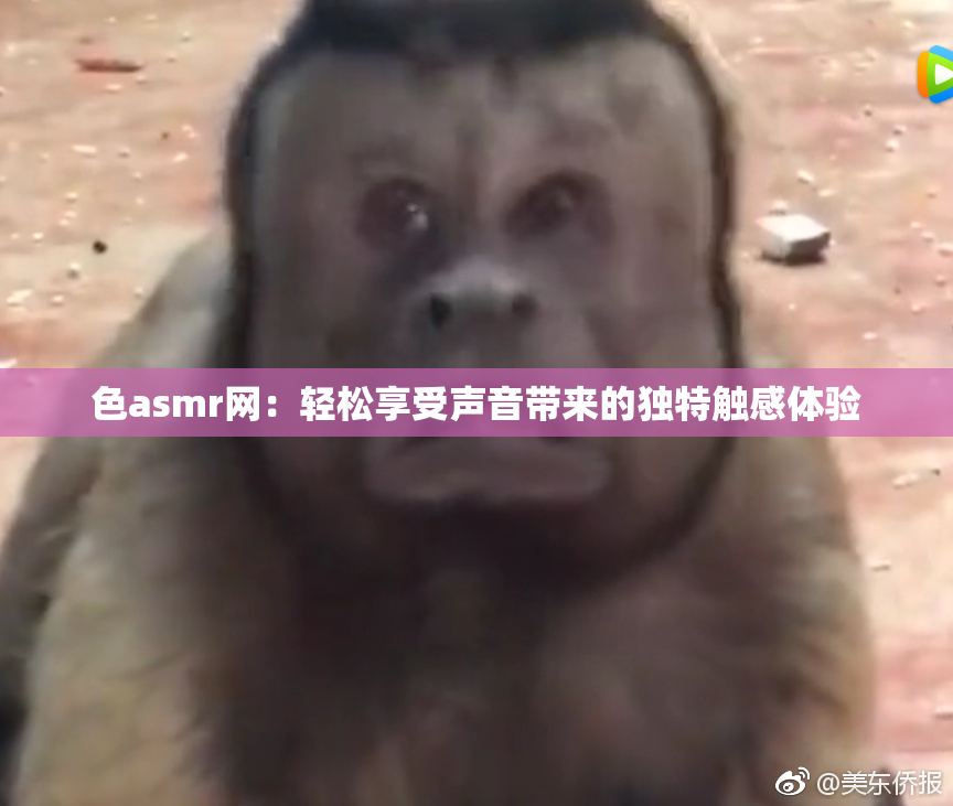 色asmr网：轻松享受声音带来的独特触感体验