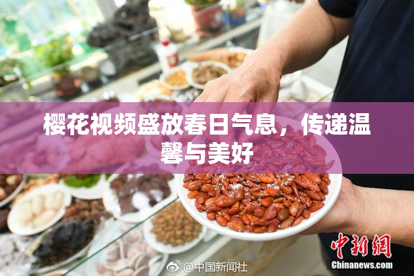 樱花视频盛放春日气息，传递温馨与美好