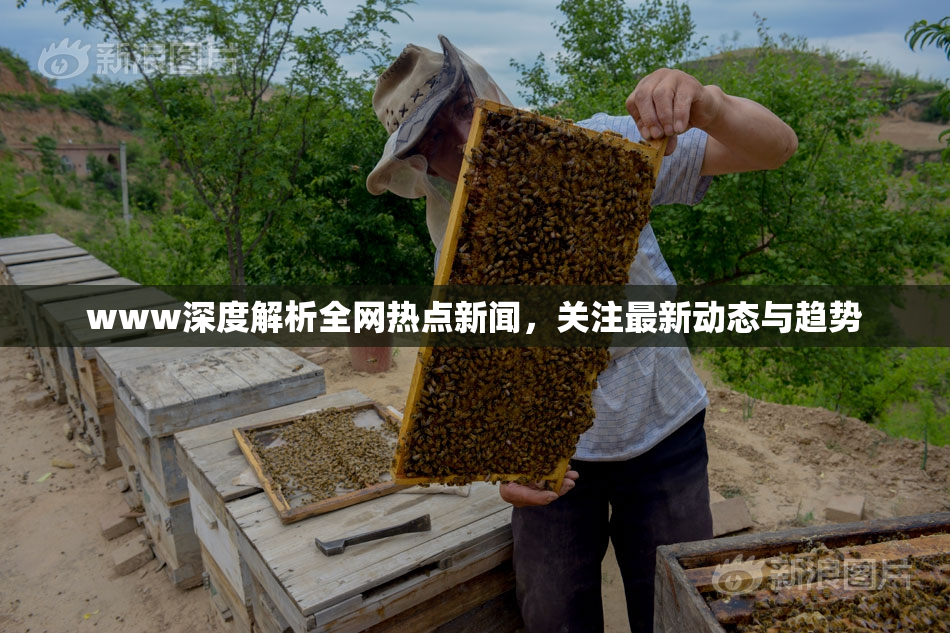 www深度解析全网热点新闻，关注最新动态与趋势