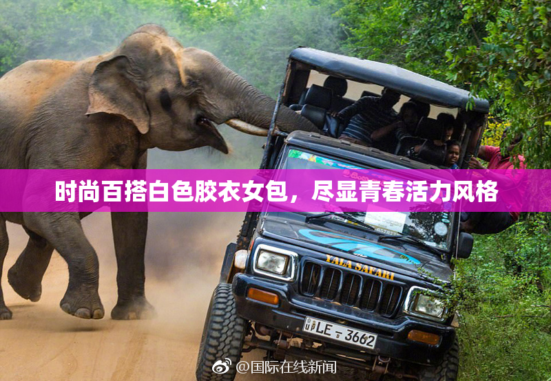 时尚百搭白色胶衣女包，尽显青春活力风格