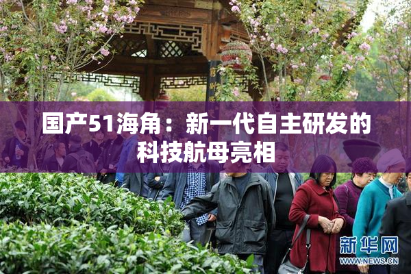国产51海角：新一代自主研发的科技航母亮相