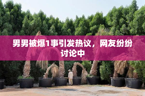 男男被爆1事引发热议，网友纷纷讨论中