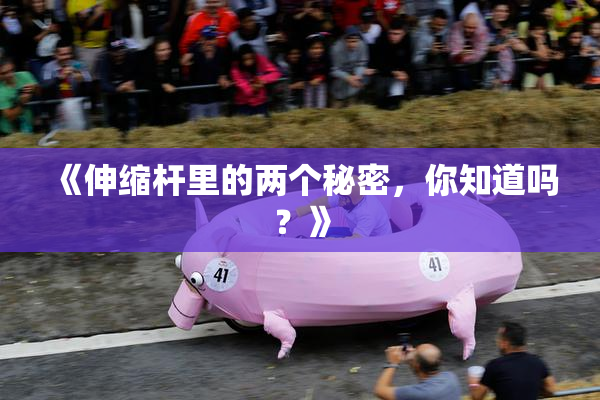 《伸缩杆里的两个秘密，你知道吗？》