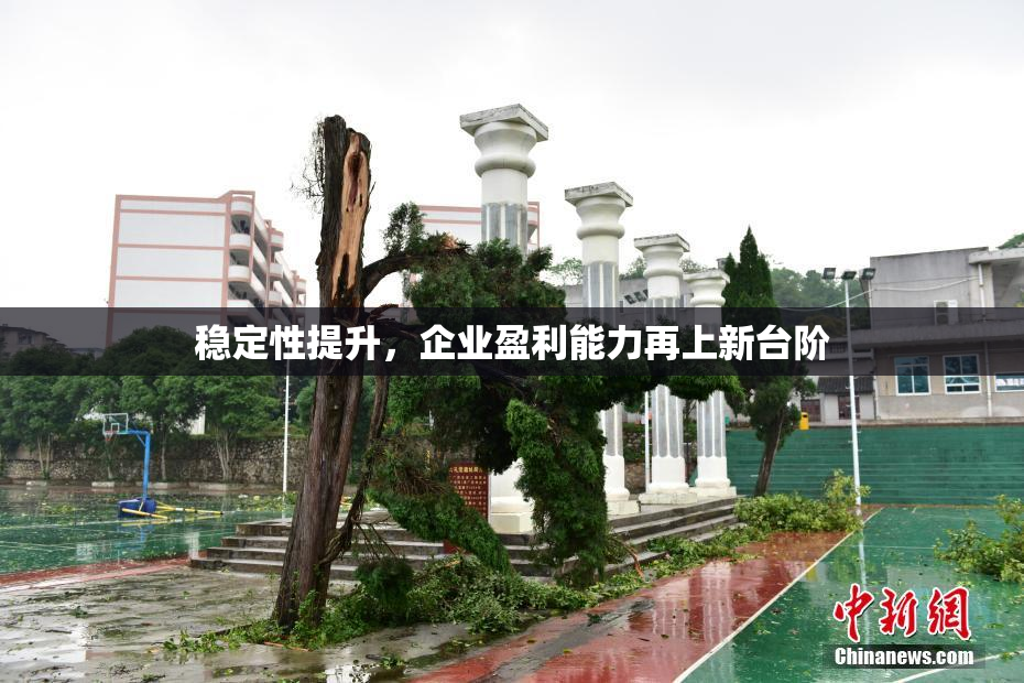 稳定性提升，企业盈利能力再上新台阶