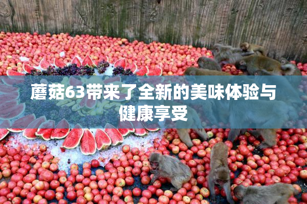 蘑菇63带来了全新的美味体验与健康享受