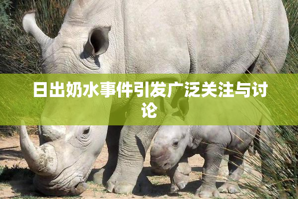 日出奶水事件引发广泛关注与讨论