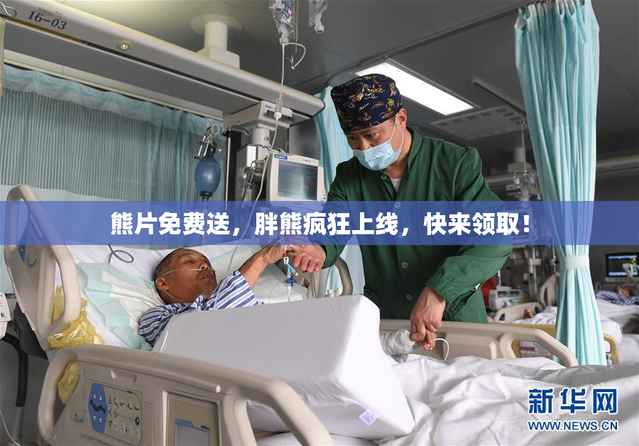 熊片免费送，胖熊疯狂上线，快来领取！