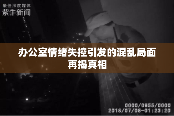 办公室情绪失控引发的混乱局面再揭真相