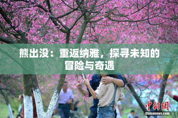 熊出没：重返纳雅，探寻未知的冒险与奇遇