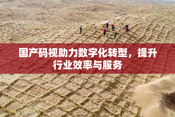 国产码视助力数字化转型，提升行业效率与服务