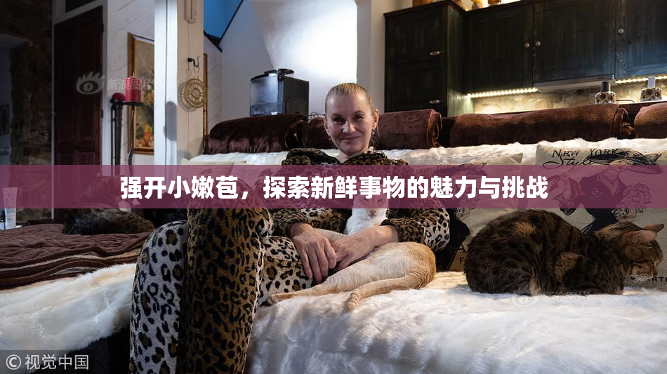 强开小嫩苞，探索新鲜事物的魅力与挑战